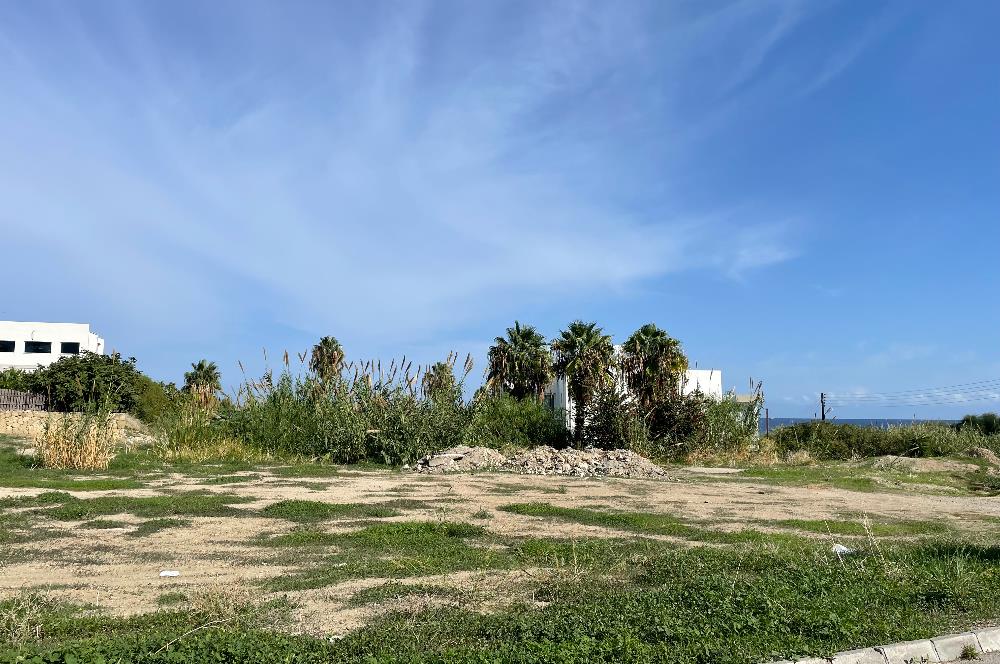 Land For Sale in Yesiltepe