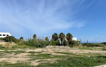 Land For Sale in Yesiltepe