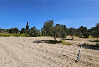 For Sale Land in Camlibel 28.000stg per acre