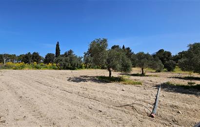 For Sale Land in Camlibel 28.000stg per acre