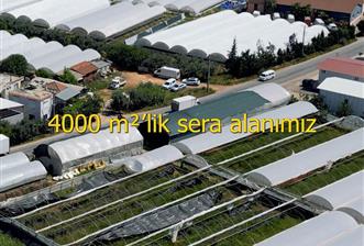 Kepez Düden 10183m2 Sera + Ticari Müstakil Arsa