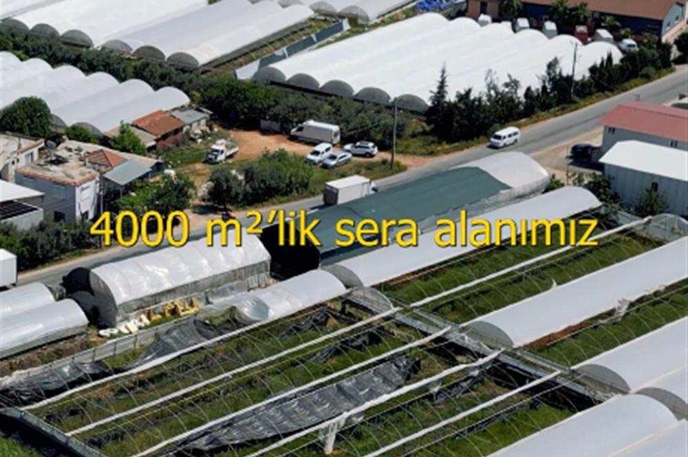 Kepez Düden 10183m2 Sera + Ticari Müstakil Arsa