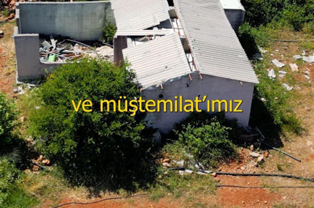 Kepez Düden 10183m2 Sera + Ticari Müstakil Arsa