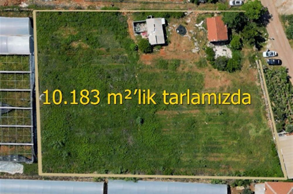 Kepez Düden 10183m2 Sera + Ticari Müstakil Arsa