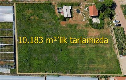 Kepez Düden 10183m2 Sera + Ticari Müstakil Arsa