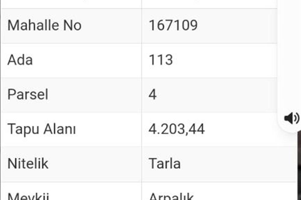 CENTURY21 BAL MEYVE BAHÇESİ VE LAVANTA TARLASI