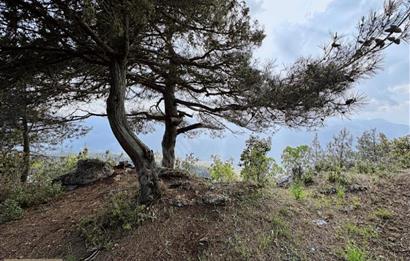 KEPİRLİ BELENOLUK ZİRVEDE BUNGALOV YAPIMINA UYGUN ARSA!