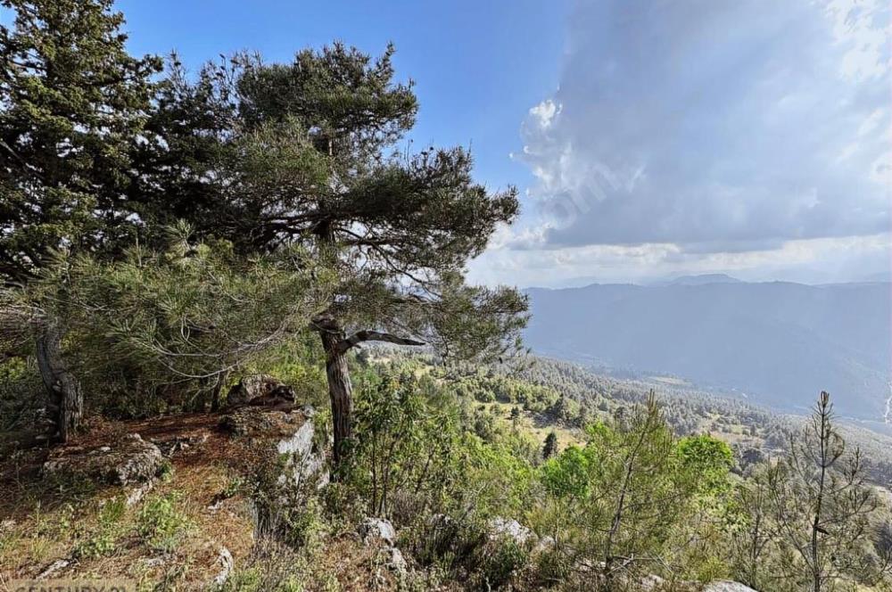 KEPİRLİ BELENOLUK ZİRVEDE BUNGALOV YAPIMINA UYGUN ARSA!