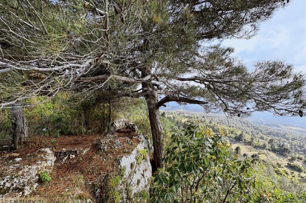 KEPİRLİ BELENOLUK ZİRVEDE BUNGALOV YAPIMINA UYGUN ARSA!