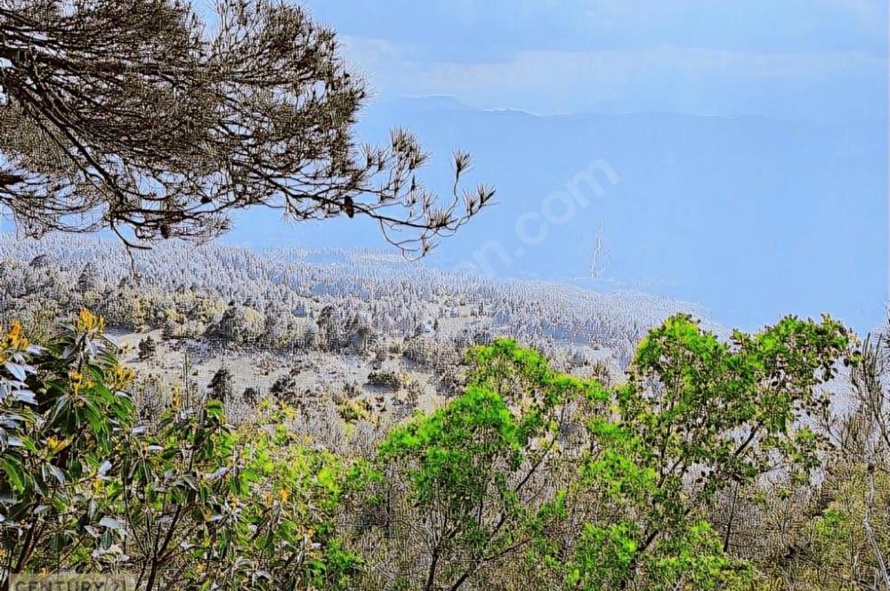 KEPİRLİ BELENOLUK ZİRVEDE BUNGALOV YAPIMINA UYGUN ARSA!