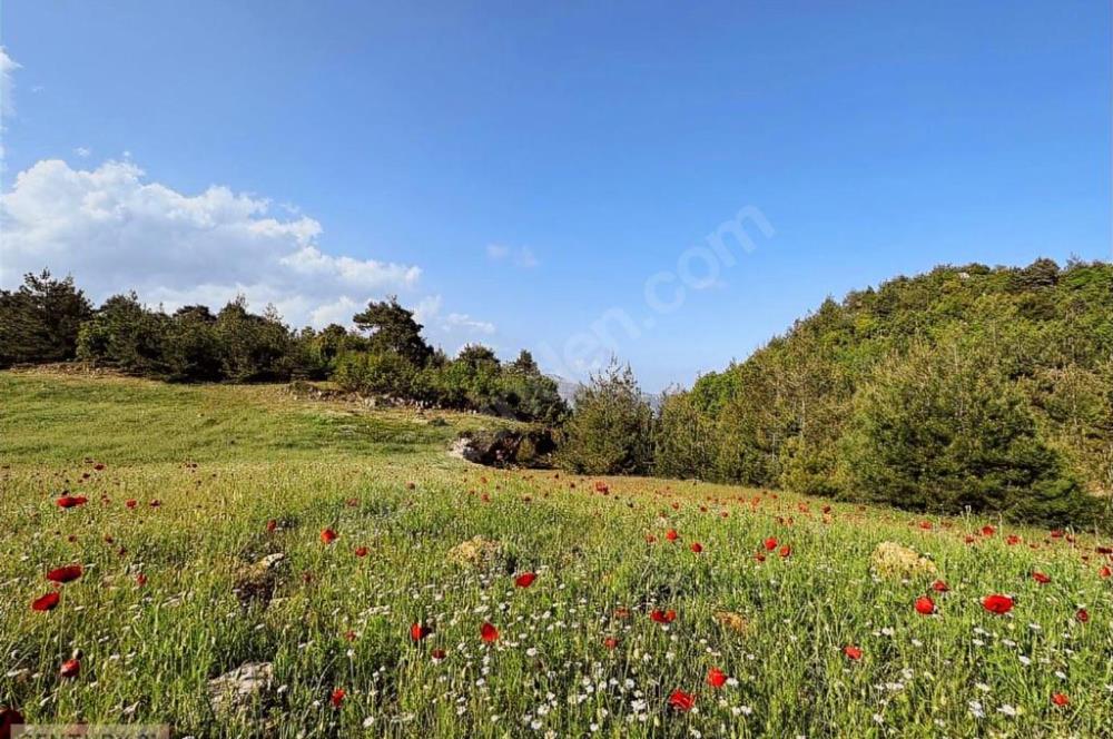 KEPİRLİ BELENOLUK ZİRVEDE BUNGALOV YAPIMINA UYGUN ARSA!