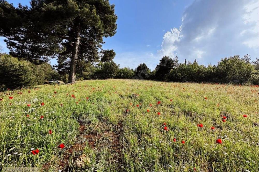 KEPİRLİ BELENOLUK ZİRVEDE BUNGALOV YAPIMINA UYGUN ARSA!