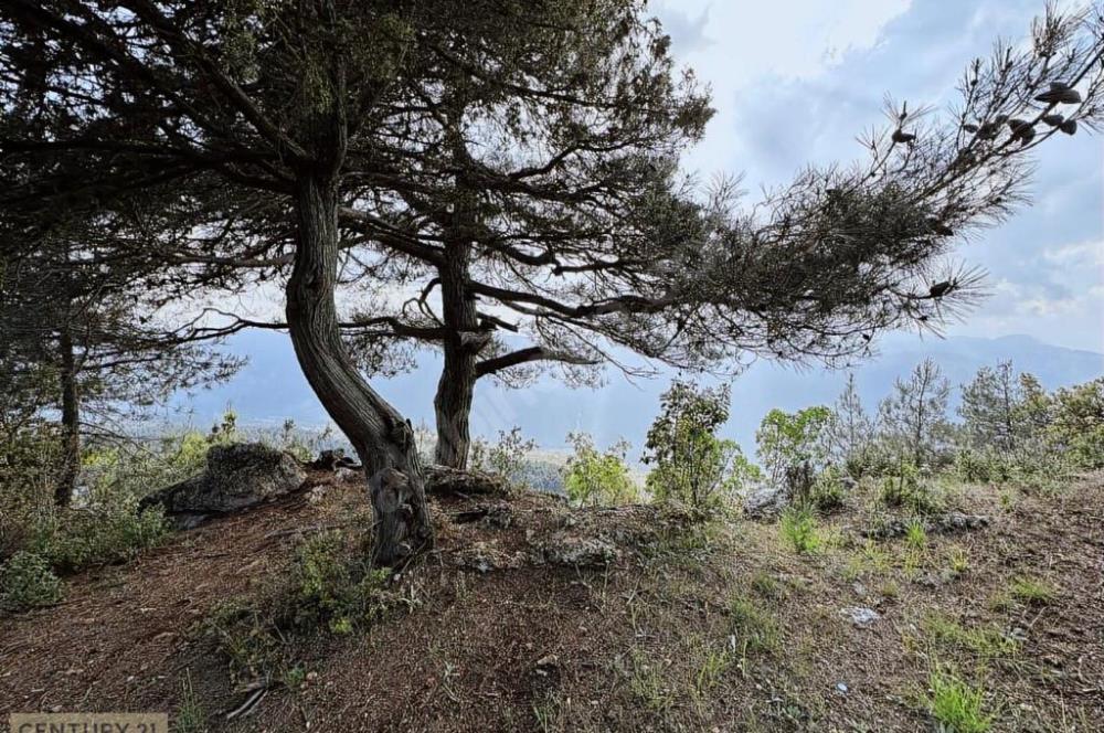 KEPİRLİ BELENOLUK ZİRVEDE BUNGALOV YAPIMINA UYGUN ARSA!