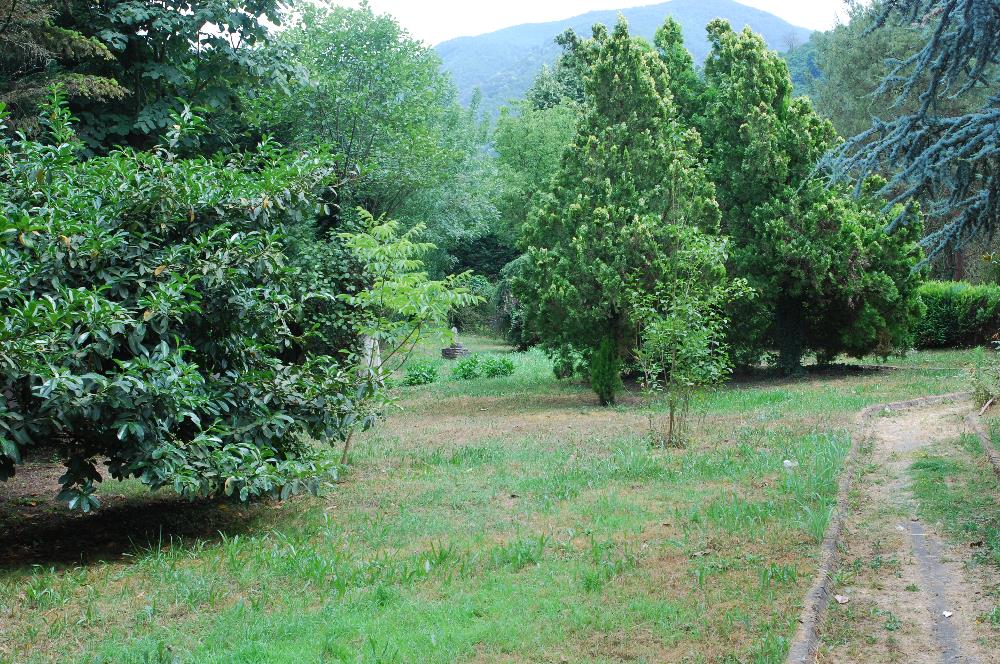 Düzce Efteni Gölü Yakını Satılık Cennet Bahçesi 