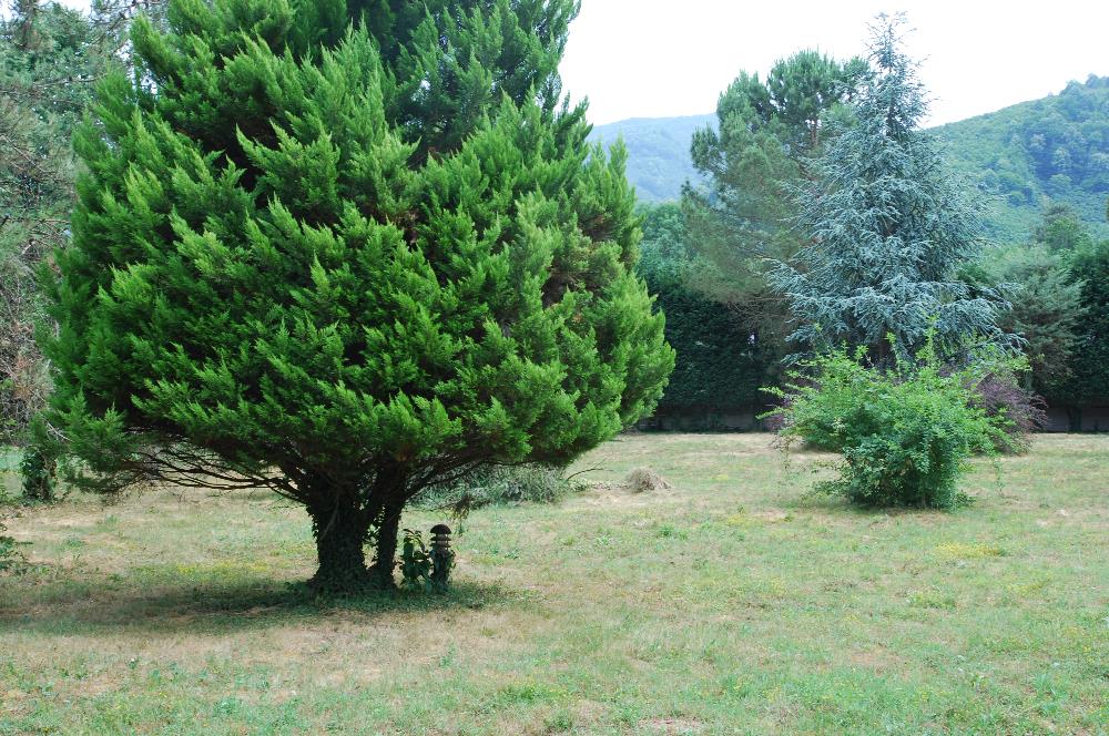 Düzce Efteni Gölü Yakını Satılık Cennet Bahçesi 