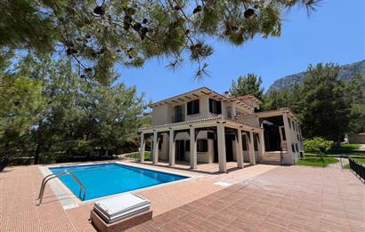 Amazing detached 5+2 villa for sale in Bellapais, Kyrenia 