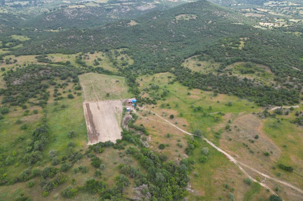 C21 WİNNER KEPSUT KARAGÖZ 4.786 m2 SATILIK TARLA