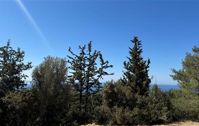 Girne karaagaçta satılık önü kesilmez deniz manzaralı arazi