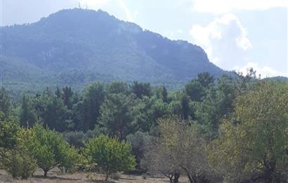 Girne karaagaçta uygun fiyatlı satılık arazi