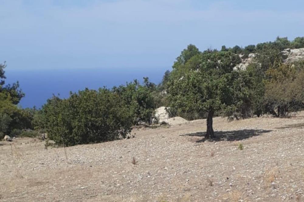 Girne karaagaçta uygun fiyatlı satılık arazi