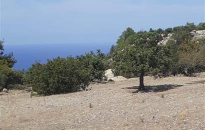 Girne karaagaçta uygun fiyatlı satılık arazi