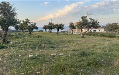 Girne çatalköyde satılık köşe arsa