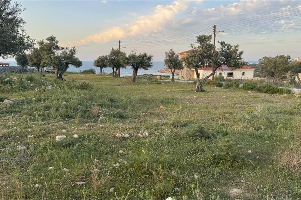 Girne çatalköyde satılık köşe arsa