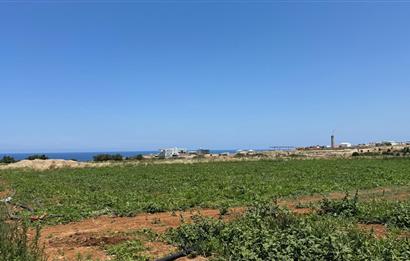 Girne çatalköyde satılık arsa