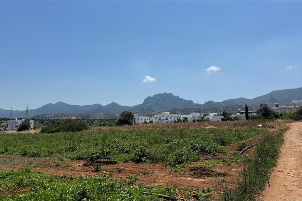 Girne çatalköyde satılık arsa