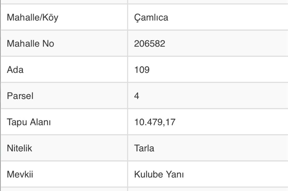 C21 TERAS - DÜZCE KAYNAŞLI ÇAMLICA KÖYÜ SATILIK TARLA