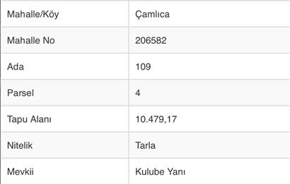 C21 TERAS - DÜZCE KAYNAŞLI ÇAMLICA KÖYÜ SATILIK TARLA