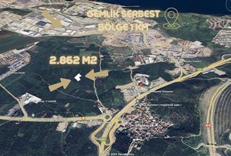 C21 NOVO'DAN BURSA GEMLİK ENGÜRÜCÜK'TE 2.862m2 ZEYTİNLİK