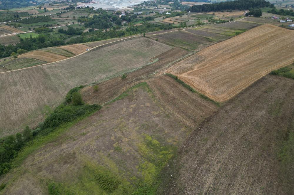 Kocaeli Kandıra Kocakaymaz OGSB Yakını Satılık Arazi