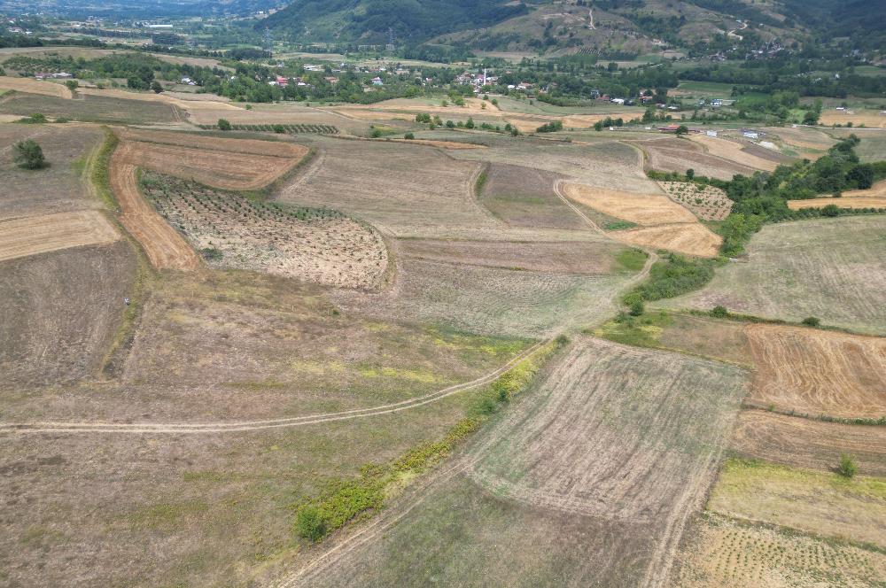 Kocaeli Kandıra Topluca OGSB Yakını Satılık Arazi