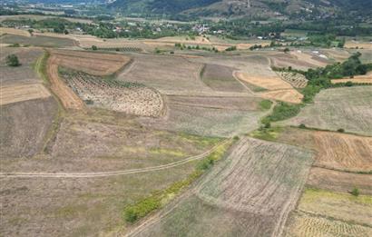 Kocaeli Kandıra Topluca OGSB Yakını Satılık Arazi