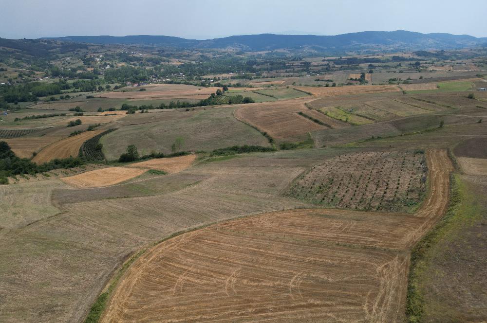 Kocaeli Kandıra Topluca OGSB Yakını Satılık Arazi