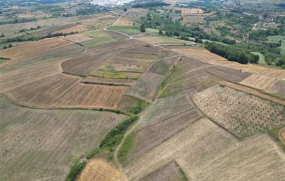 Kocaeli Kandıra Topluca OGSB Yakını Satılık Arazi