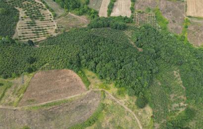 Kocaeli Kandıra Topluca OGSB Yakını Satılık Arazi