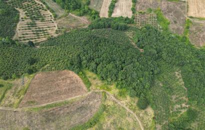 Kocaeli Kandıra Topluca OGSB Yakını Satılık Arazi