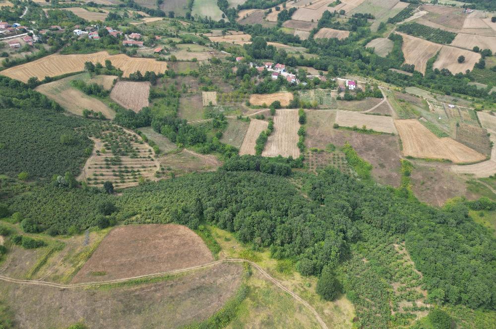 Kocaeli Kandıra Topluca OGSB Yakını Satılık Arazi