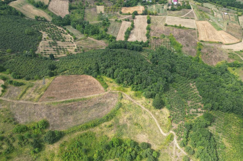 Kocaeli Kandıra Topluca OGSB Yakını Satılık Arazi