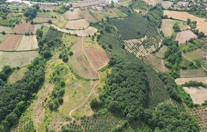 Kocaeli Kandıra Topluca OGSB Yakını Satılık Arazi