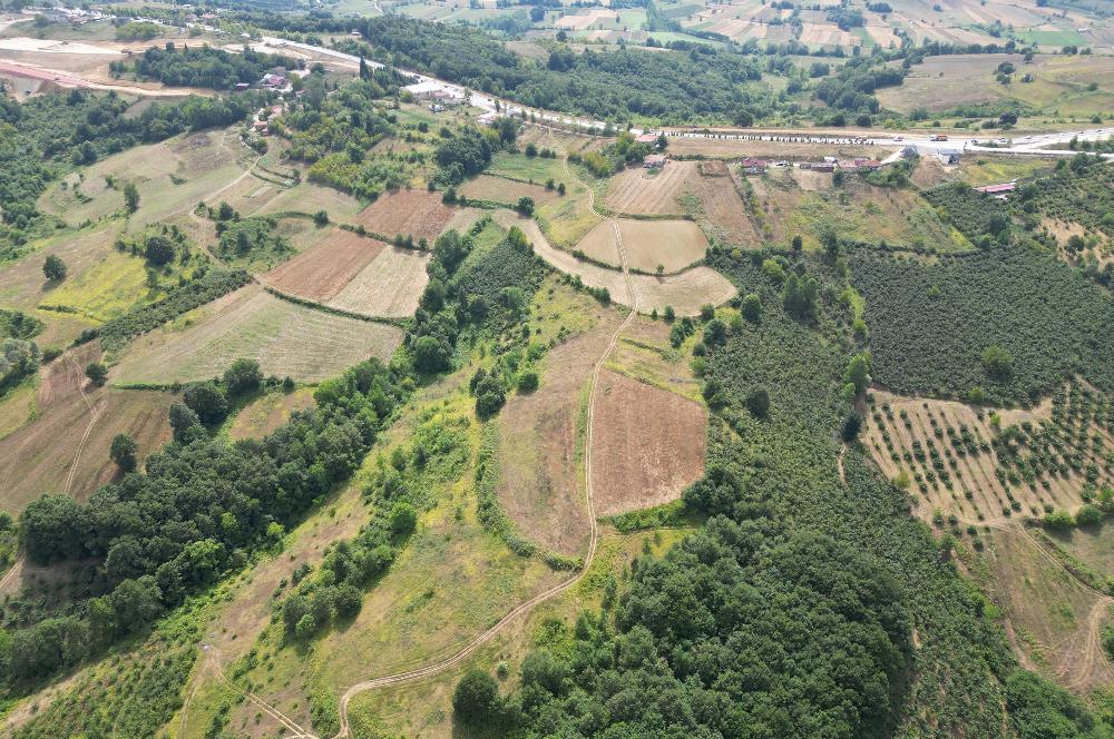 Kocaeli Kandıra Topluca OGSB Yakını Satılık Arazi