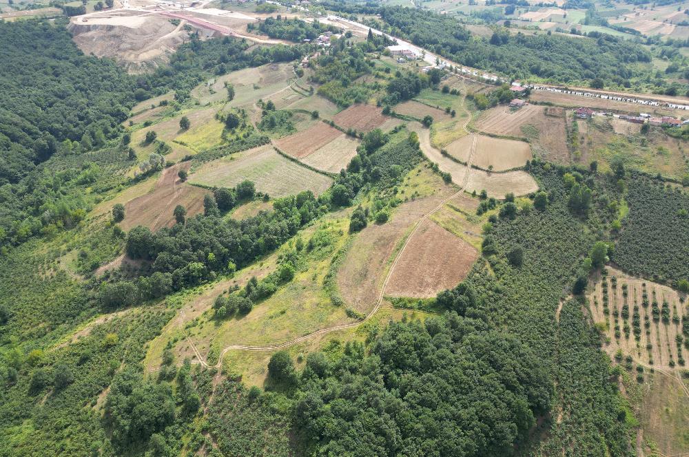 Kocaeli Kandıra Topluca OGSB Yakını Satılık Arazi