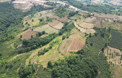 Kocaeli Kandıra Topluca OGSB Yakını Satılık Arazi