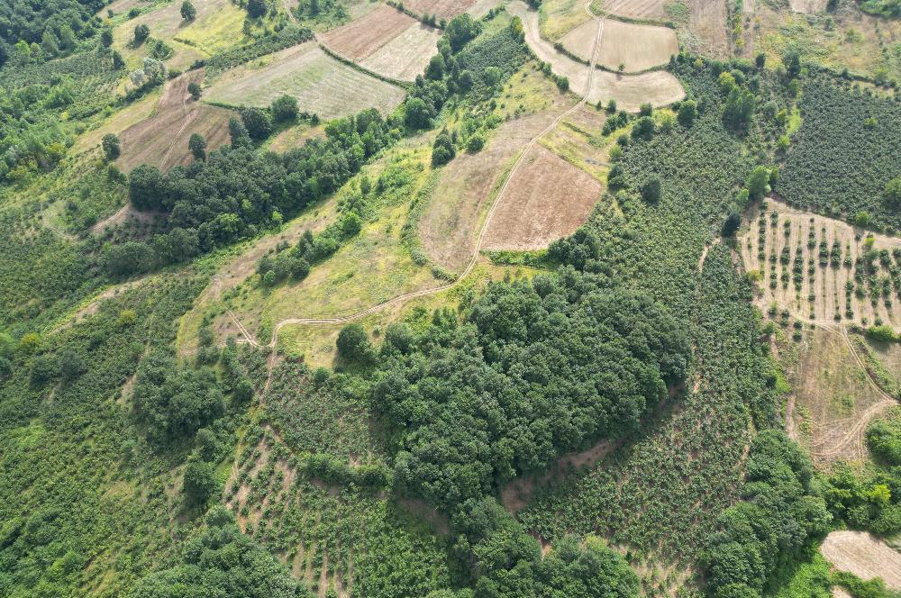 Kocaeli Kandıra Topluca OGSB Yakını Satılık Arazi