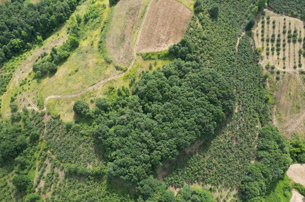 Kocaeli Kandıra Topluca OGSB Yakını Satılık Arazi