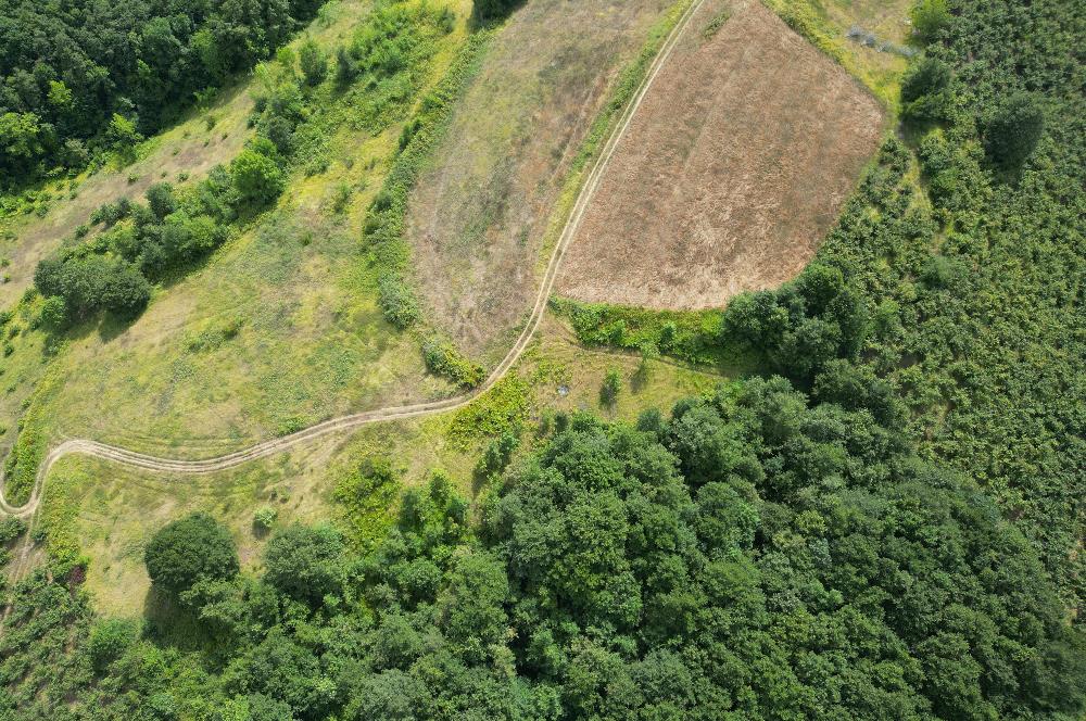 Kocaeli Kandıra Topluca OGSB Yakını Satılık Arazi