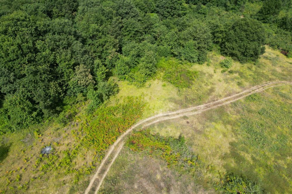 Kocaeli Kandıra Topluca OGSB Yakını Satılık Arazi