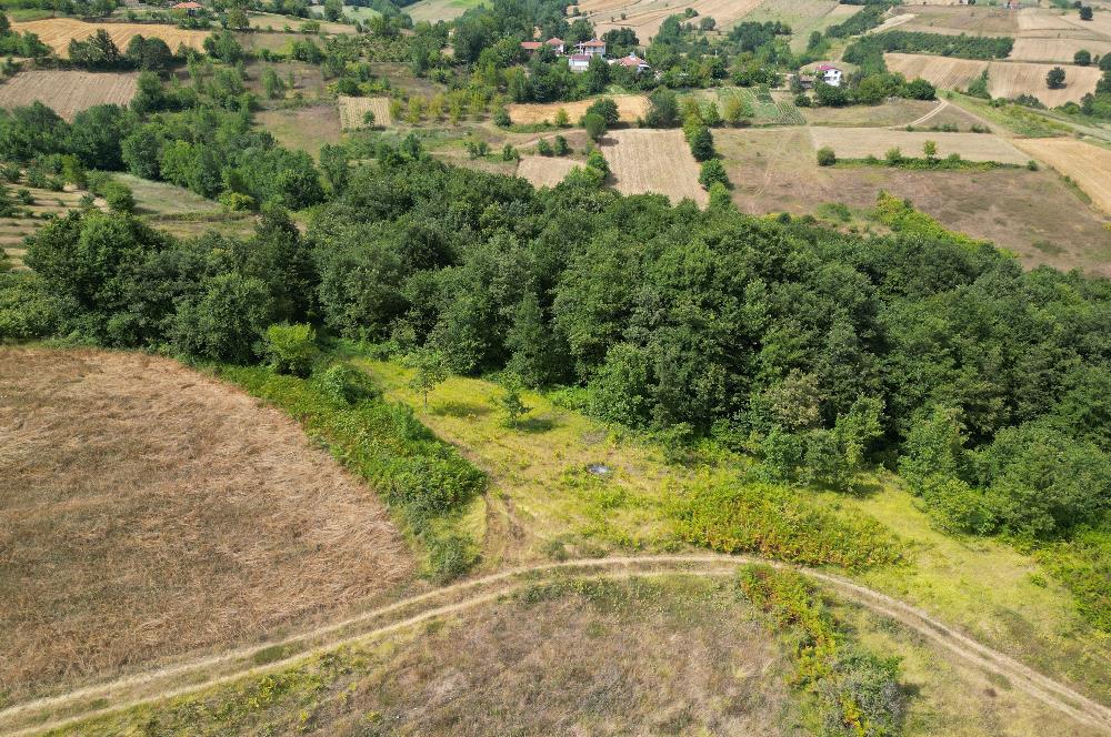 Kocaeli Kandıra Topluca OGSB Yakını Satılık Arazi